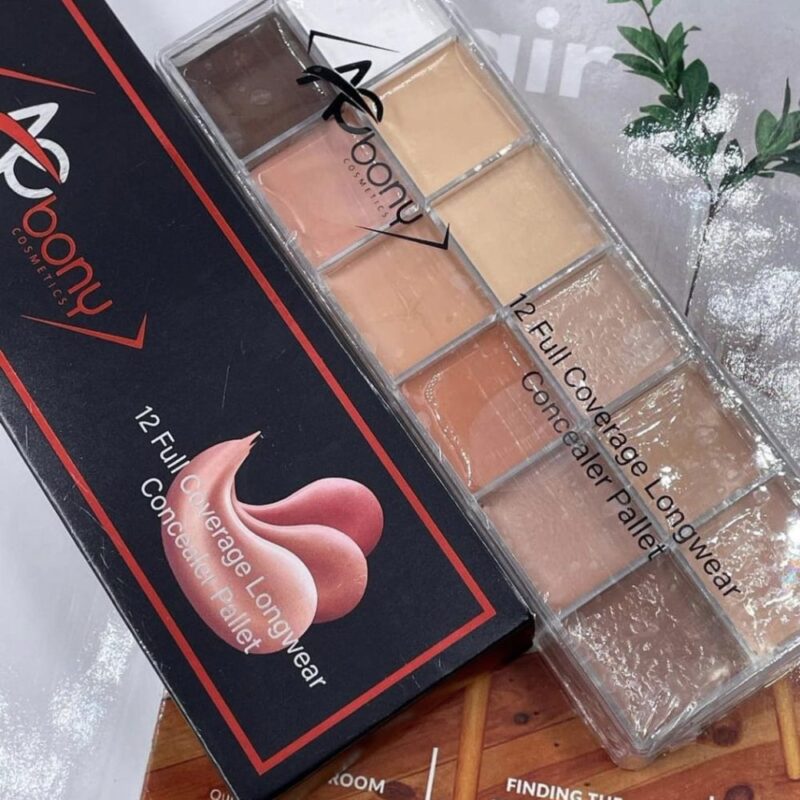 Aebony Concealer pallet
